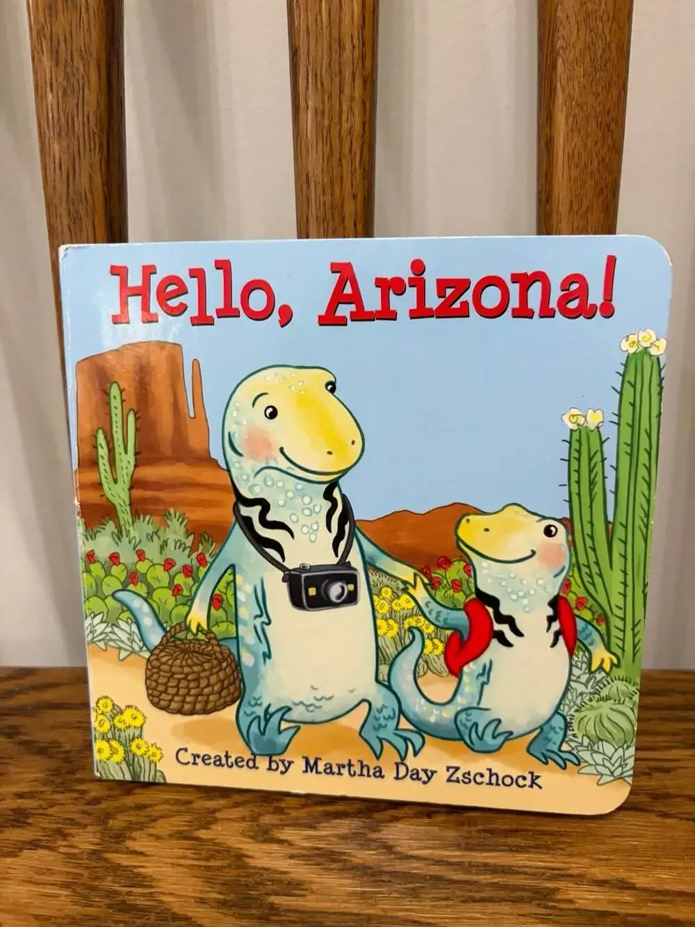 Hello, Arizona! Board Book by Martha Day Zschock